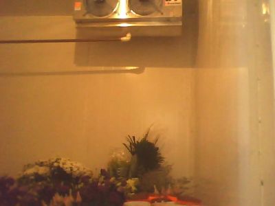 camara fria congelados e resfriados  r$12.500.00 [17]91047360