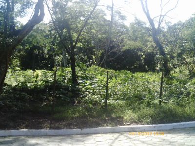 TOQUE TOQUE GRANDE 300 METROS DA PRAIA 