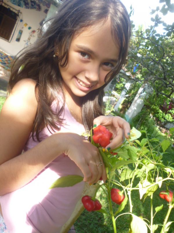 Plot eldorado, 5 lotes em Goiana/PE/Brasil.