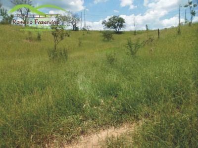 lote financiados entrada de R$ 2.000,00