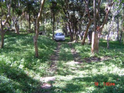 Vendo área de terra na cidade de Antonina