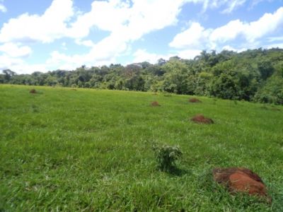 Fazenda na Zona Rural de Názario-GO cod.24