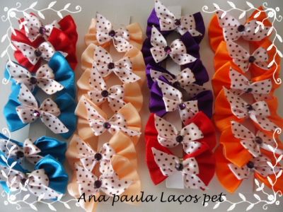 laços pet para banho e tosa