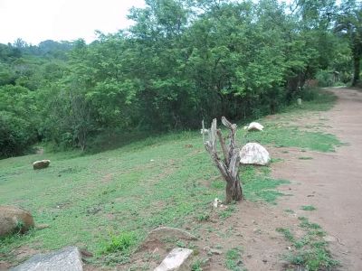 Lindo Terreno com 1600 M² 40x40 na Martinica R$ 28000,00 —