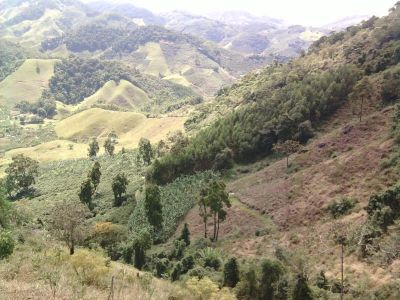 Vendemos Ótimo Terreno com em Vargem Alta com 6 nascentes de água doce.