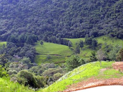 VENDO SITIOS DE 1 HECT POR 35 MIL