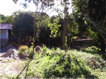 sitio em cachoeiras de macacú caetano imoveis