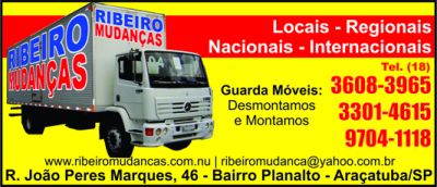 MUDANÇAS E TRANSPORTES RIBEIRO