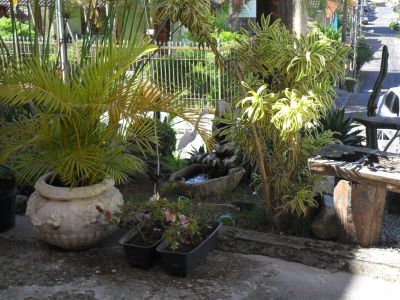 Pensionato Masculino Dona Lùcia