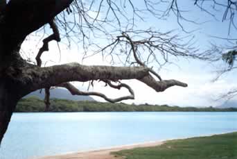 Semana santa: Barra de São joão, Búzios e A do cabo/RJ !!