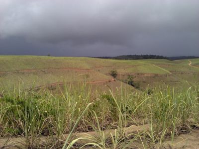 Engenho em Pernambuco