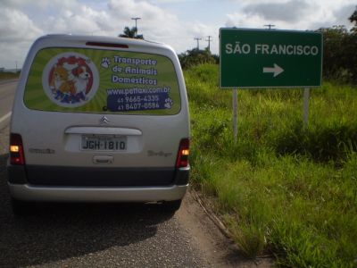 Pettaxi Transporte De Animais Domesticos - Taxi Dog