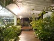 Aluguel e venda de Tendas, e coberturas para Festas e Eventos