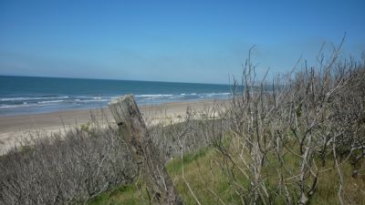 90 hectareas de terreno.