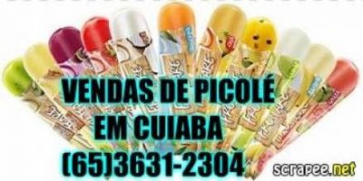 (65) 3631*2304 Aluguel Algodão Doce e Pula-Pula Em cuiaba - Profissionais ...