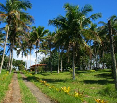 VENDO TERRENO 300 m² ESTANCIA HIDROMINERAL E PRAIAS OLIVENÇA