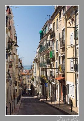 TEMPORADA - Traça antiga – Lisboa / Pena / Campo Santana