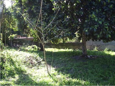 sitio em cachoeiras de macacú caetano imoveis