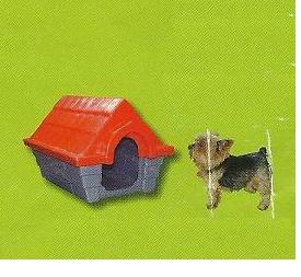 casas para cães