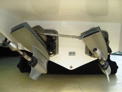 Ecomariner 45 