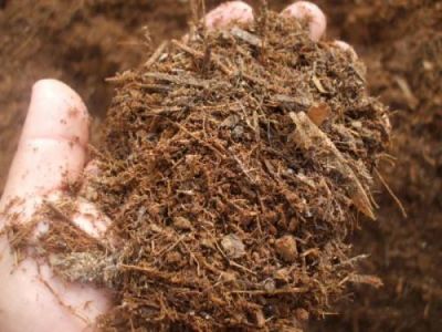 R.F TERRA PRETA ADUBADA E MUDAS DE PLANTAS