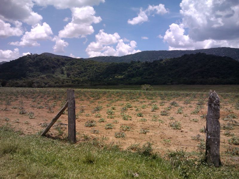 Terreno p/ chácara em Pouso Alegre - B. do Cervo - 1683 mts2