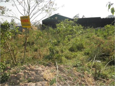 TERRENO 10X33 LAMBARI SP $20,000mil 