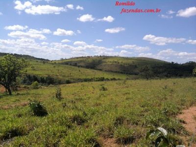  fazenda em paraopeba  mg com área de 162 ha