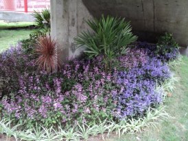 Flora Recanto Das Plantas