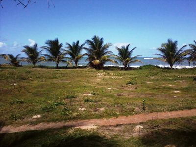 terrenos frente mar a venda em alagoas