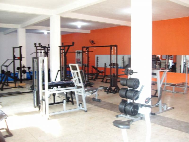 Tiger Academia Perus