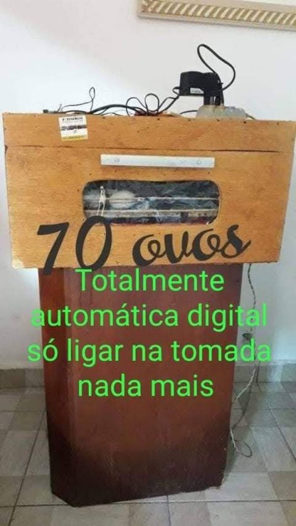 Chocadeira 70 ovos automática digital 