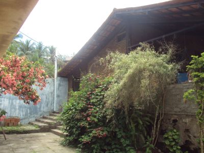 Casa praia temporada alugo Ilhéus Olivenca  Bahia