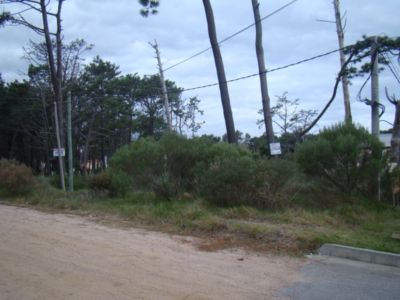 Terreno en Venta'.Montoya.Uruguay