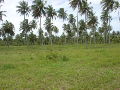 FAZENDA A VENDA NA BAHIA .MELHOR PREÇO