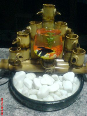 Fonte de Água em Bambú com pedras e mini aquario com beta