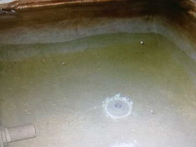 LIMPEZA DE CAIXA DÁGUA e DEDETIZADORA (11)2303-5217/ 7303-3441/ 8621-3420/6557-9589