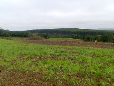 LOTES APTOS PARA CONSTRUIR