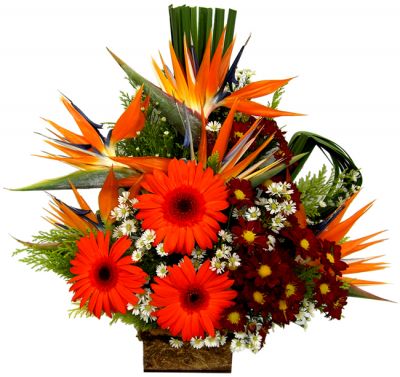 Arranjos maternidade, cestas de flores, bouquets entregamos em toda grande BH (31) 3024-1113  Flores