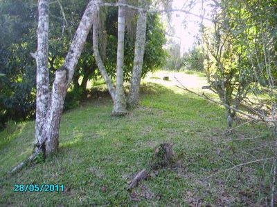 CHÁCARA C/ 1.630 M² - SÃO LOURENÇO DA SERRA - SP - COD: 429  F: (11) 4686-1562 - CEL: (11) 7302-9229