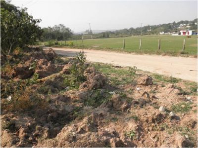 TERRENO 10X33 LAMBARI SP $20,000mil 