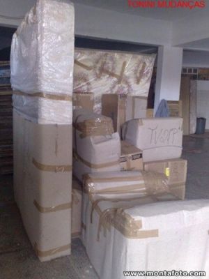 TRANSPORTADORA TONINI MUDANCAS E GUARDA-MÓVEIS