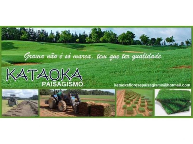 Grama Esmeralda, Direto do Produtor