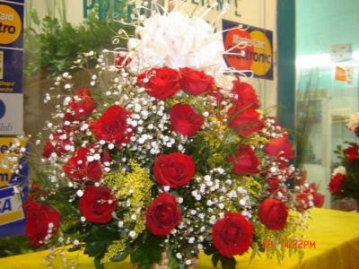 Gil Flores Naturais Floricultura