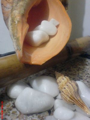 FONTE DE BAMBU COM CARACOL GRANDE E PEDRAS