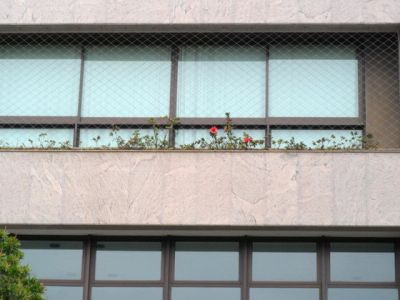 REDES DE PROTEÇÃO NA ACLIMAÇÃO TEL 11 3455-9884