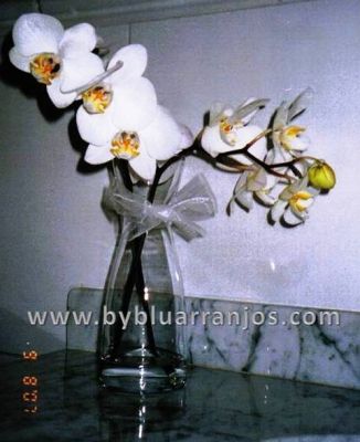 By Blu Arranjos Florais Personalizados