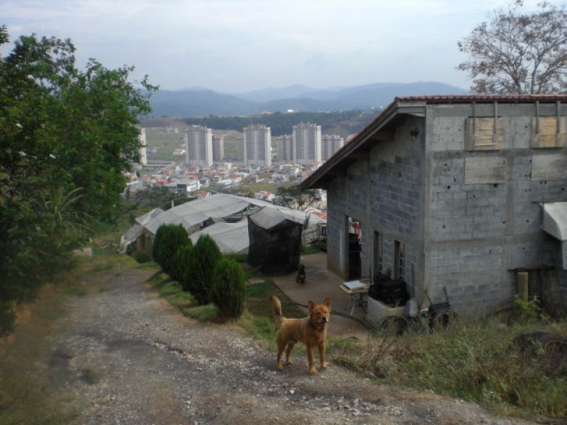 Ótimo terreno Polvilho Cajamar