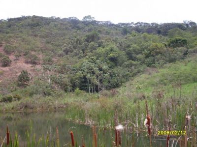 Vendo/troco fazenda e terreno em Itambé do Mato Dentro -Particular