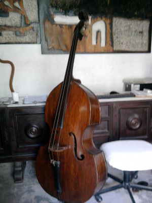 Leo Lu Vila Espaço de Art